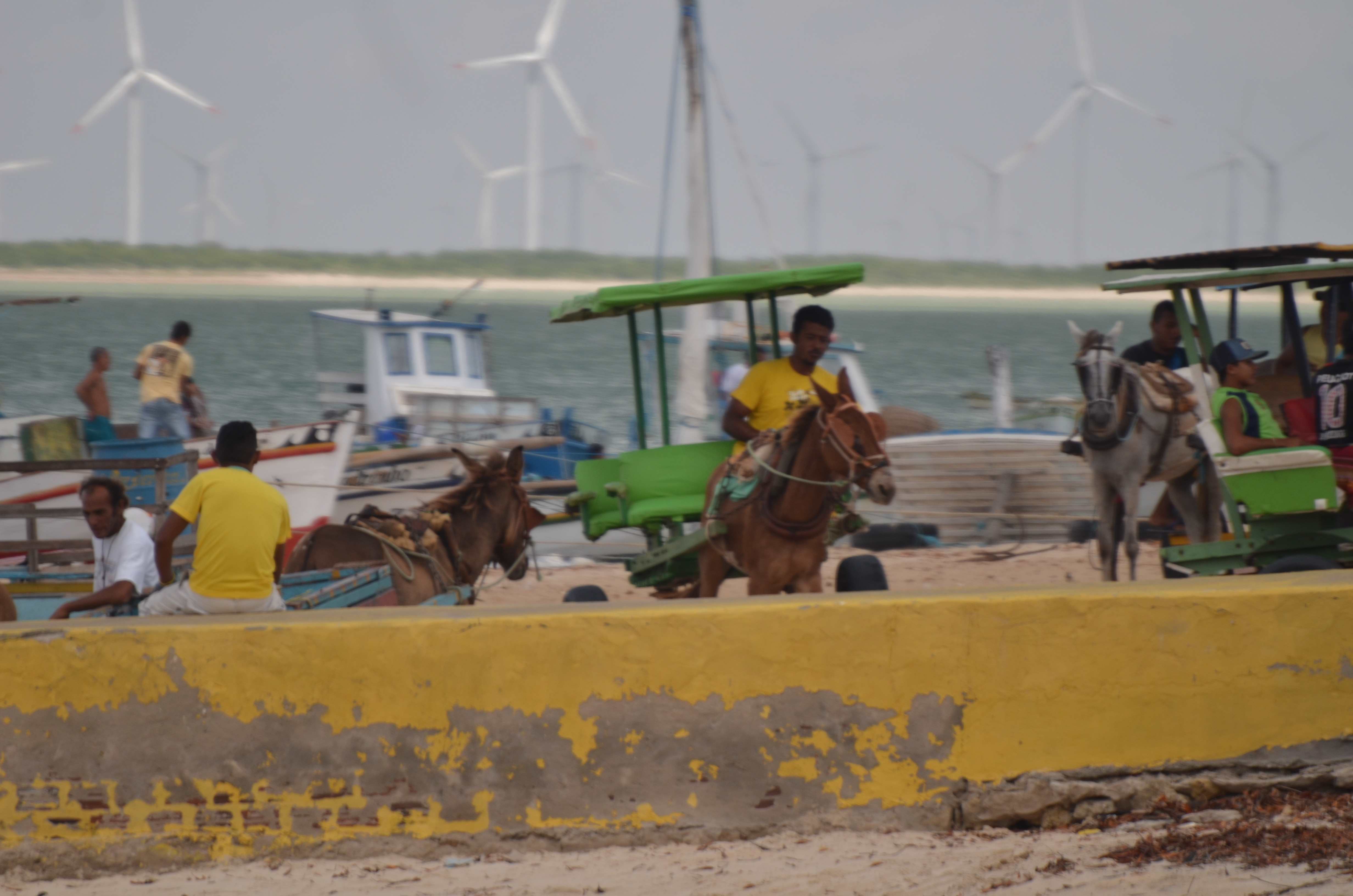 GalinhosXplorar _009.JPG