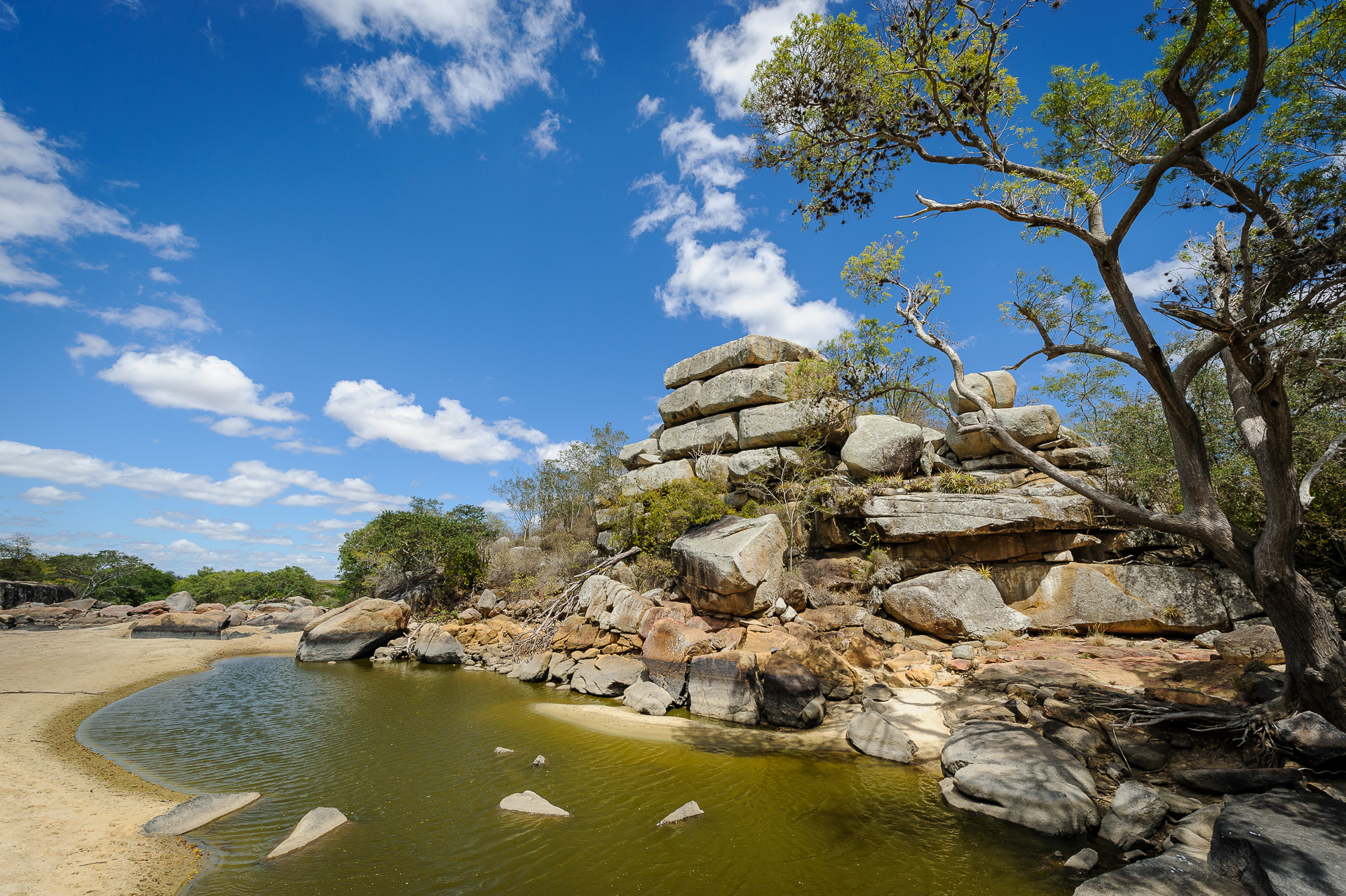 _JV29545Lajedo PaiMateus_CacioMurilo peq1920.jpg