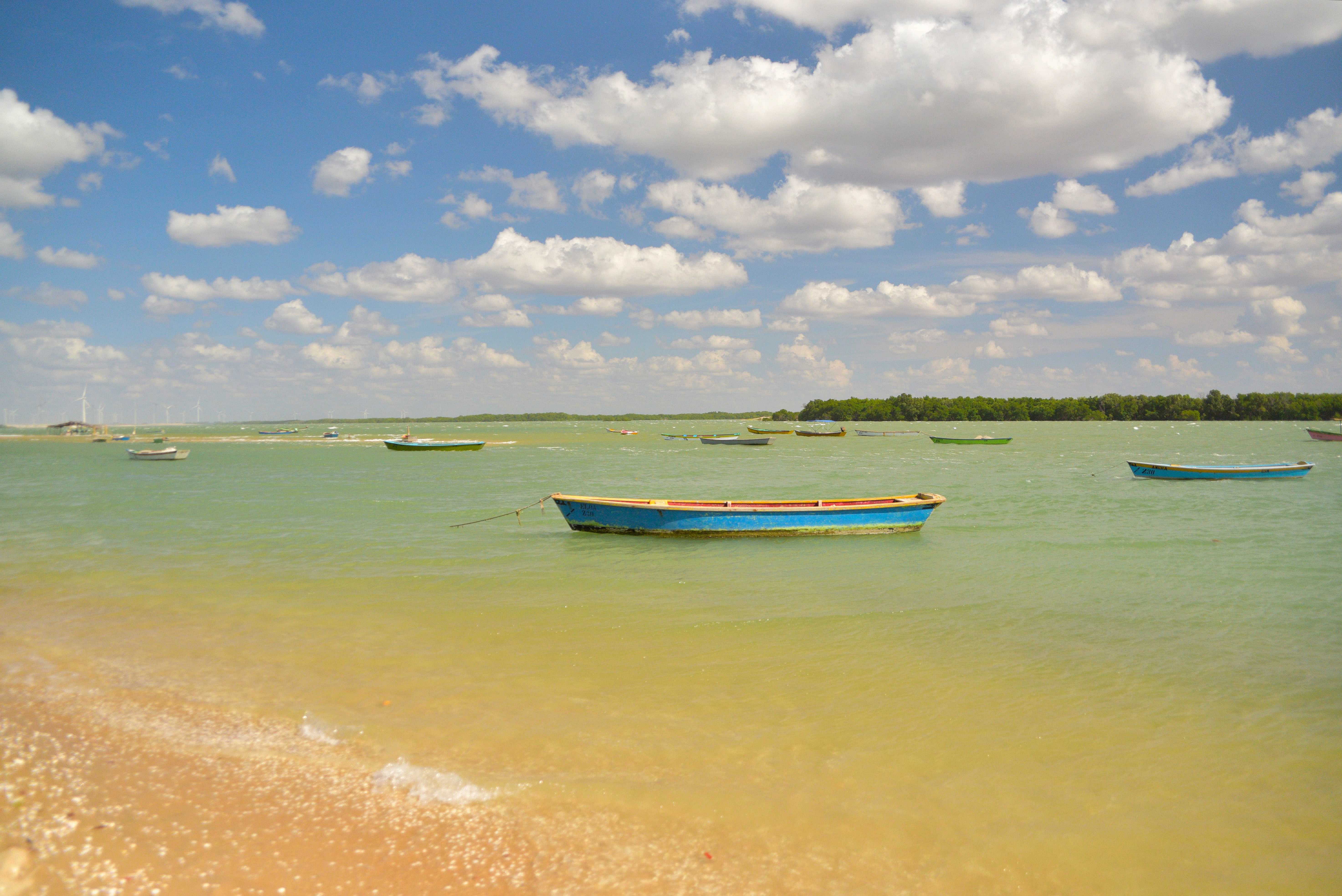 Galinhos jangadas Zecarneironeto Xplorar.JPG